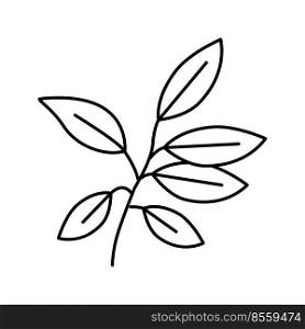 ebony leaf line icon vector. ebony leaf sign. isolated contour symbol black illustration. ebony leaf line icon vector illustration