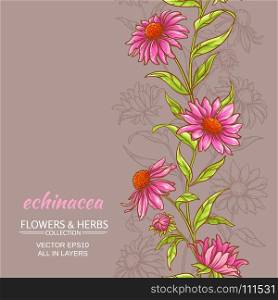 echinace purpurea vector background. echinace purpurea vector pattern on color background