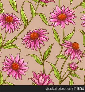 echinacea purpurea pattern. echinacea purpurea seamless pattern on color background