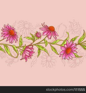 echinacea purpurea pattern. echinacea purpurea seamless pattern on color background