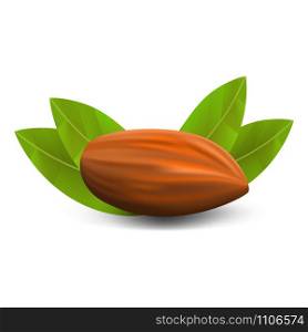 Eco almond icon. Realistic illustration of eco almond vector icon for web design. Eco almond icon, realistic style