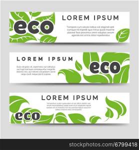 Eco banners template with green leaves. Eco banners template with green leaves design. Vector illustration