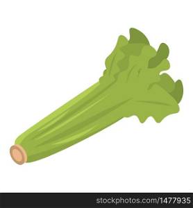 Eco celery leaf icon. Isometric of eco celery leaf vector icon for web design isolated on white background. Eco celery leaf icon, isometric style