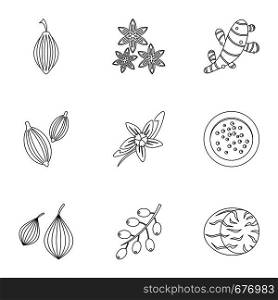 Eco condiment icon set. Outline set of 9 eco condiment vector icons for web isolated on white background. Eco condiment icon set, outline style
