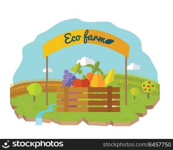 Eco farm conceptual vector in flat style design. Box with vegetables and fruits under the banner with fields and garden on background. Fresh organic products concept. Isolated on white background. . Eco Farm Conceptual Vector in Flat Style Design.