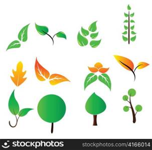 eco floral elements vector illustration