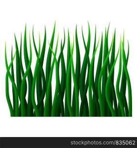 Eco grass icon. Realistic illustration of eco grass vector icon for web design isolated on white background. Eco grass icon, realistic style