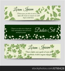 Eco horizontal banners with green branches. Eco horizontal banners templates with green floral branches. Vector illustration