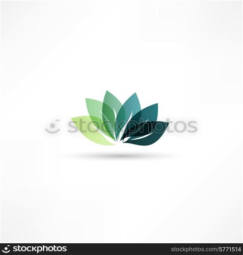 Eco icon