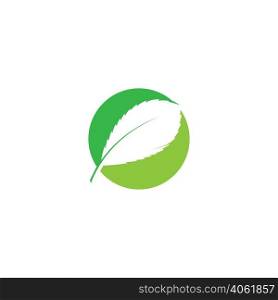 Eco icon green leaf vector illustration isolated.