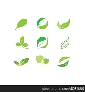 Eco icon green leaf vector illustration isolated.