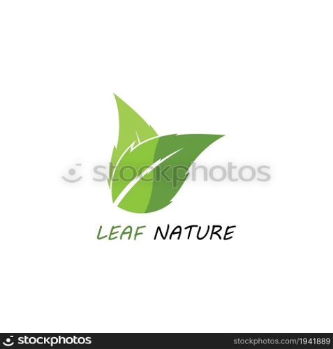 Eco icon green leaf vector illustration isolated. - Vector
