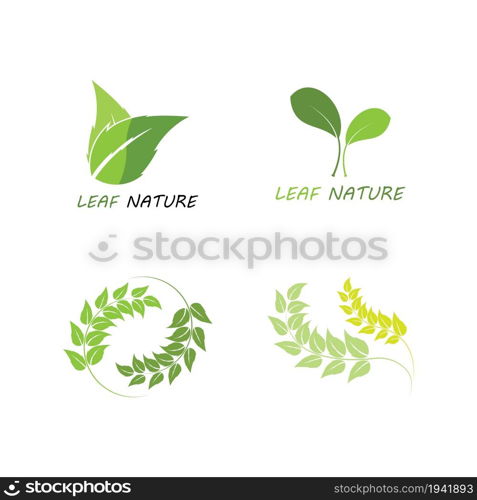 Eco icon green leaf vector illustration isolated. - Vector