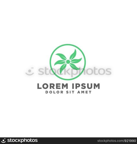eco leaf nature star logo template vector illustration, icon element isolated. eco leaf nature star logo template vector illustration, icon element