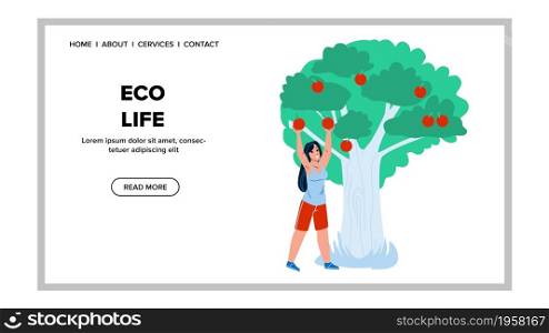 Eco Life And Eating Vitamin Fruit In Garden Vector. Young Woman Harvesting Natural Apples, Eco Life On Agricultural Landscape. Character Farmer Agriculture Scenery Scape Web Flat Cartoon Illustration. Eco Life And Eating Vitamin Fruit In Garden Vector