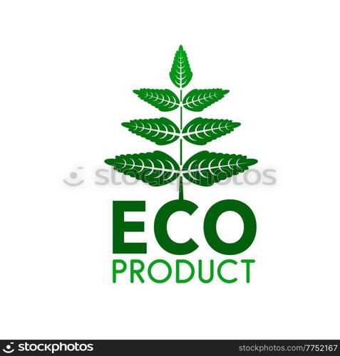 Eco product vector icon with green leaves of organic bio plant, nature, ecology and healthy environment. Fresh spring foliage of tree or plant branch isolated symbol of eco product. Eco product icon, green leaves of organic plant