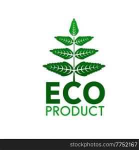Eco product vector icon with green leaves of organic bio plant, nature, ecology and healthy environment. Fresh spring foliage of tree or plant branch isolated symbol of eco product. Eco product icon, green leaves of organic plant