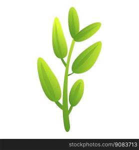 Eco sage icon cartoon vector. Leaf plant. Aromatic basil. Eco sage icon cartoon vector. Leaf plant