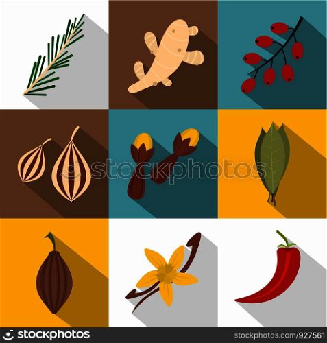 Eco spices icon set. Flat style set of 9 eco spices vector icons for web design. Eco spices icon set, flat style