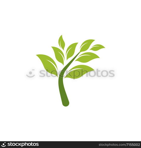 Eco Tree Leaf Logo Template