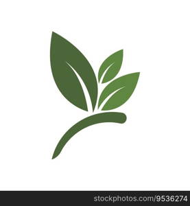 Eco Tree Leaf Logo Template