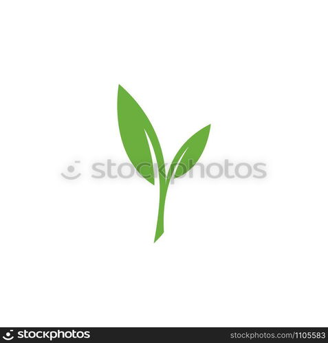 Eco Tree Leaf Logo Template design