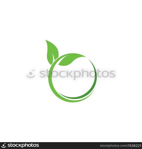 Eco Tree Leaf Logo Template design