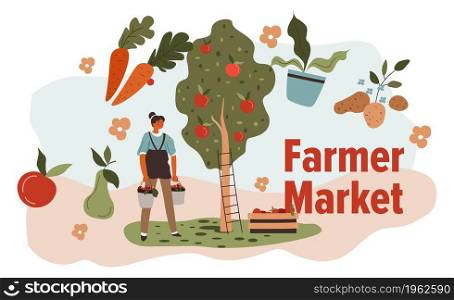 Ecological and natural products on farmer market. Woman harvesting and picking apples from tree, potato and carrot, tomatoes and pear. Getting ready for selling vegetables. Vector in flat style. Farmer market ecological and natural products