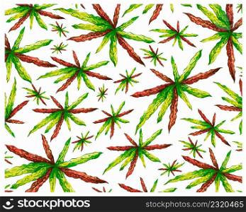Ecological Concept, Illustration Background of Beautiful Green and Yellow Spot Croton Plants or Codiaeum Variegatium Plants For Garden Decor.