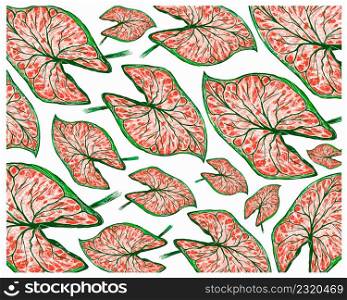 Ecological Concept, Illustration Background of Elephant Ear, Colocasia, Caladium, Heart of Jesus or Angel Wings Plants in A Garden.