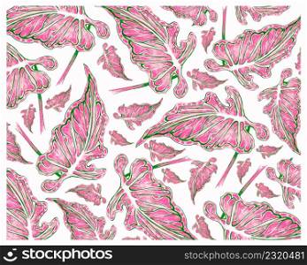 Ecological Concept, Illustration Background of Elephant Ear, Colocasia, Caladium, Heart of Jesus or Angel Wings Plants in A Garden.