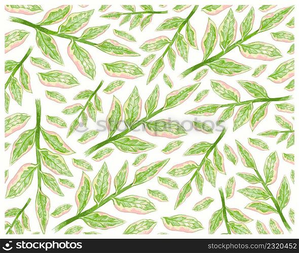 Ecological Concept, Illustration Background of Pedilanthus Tithymaloides or Redbird Cactus Isolated on White Background for Garden Decoration.