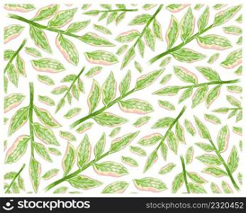 Ecological Concept, Illustration Background of Pedilanthus Tithymaloides or Redbird Cactus Isolated on White Background for Garden Decoration.