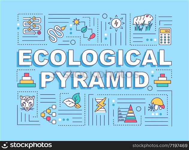 Ecological pyramid word concepts banner. Biodiversity, producers and consumers. Infographics with linear icons on turquoise background. Isolated typography. Vector outline RGB color illustration