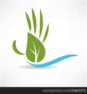 ecological wood and water icon
