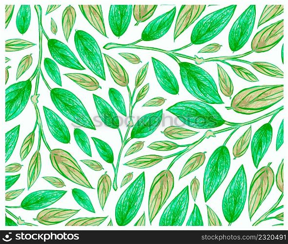Ecology Concepts, Illustration Background of Green Leaf of Philodendron Melanochrysum Linden Plants.