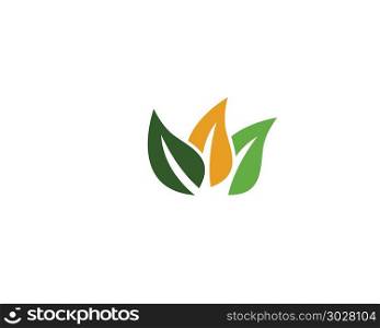 Ecology vector icon. Logos of green leaf ecology nature element vector icon