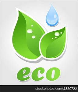Ecology3. Drop of water and green plant. A vector illustration