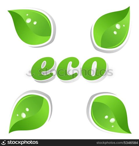 Ecology4. Ecology and green leafs of a plant. A vector illustration