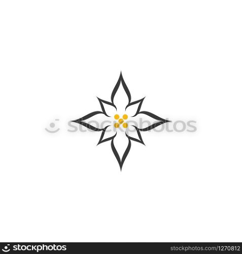 Edelweiss logo illustration vector design