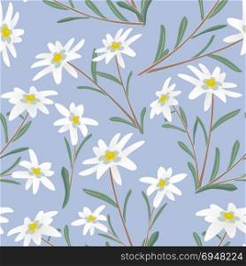 edelweiss seamless pattern. Seamless pattern with edelweiss flowers. Vector illustration.