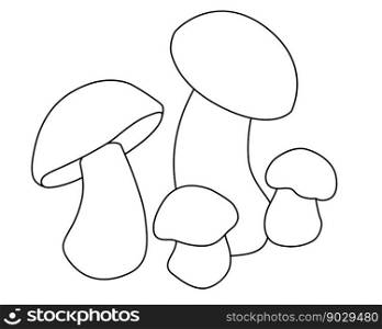 Edible mushrooms - vector linear coloring picture with edible forest mushrooms