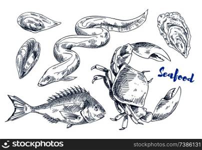 Edible mussels and oysters monochrome vector illustration, electric eel and large squid and crab. Seafood restaurant sketch style promo poster idea.. Different Marine Animals as Seafood Illustration