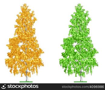 Editable vector illustration of a birch tree in summer and fall