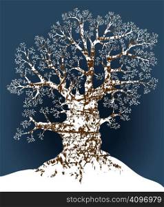 Editable vector illustration of an oak tree in winter