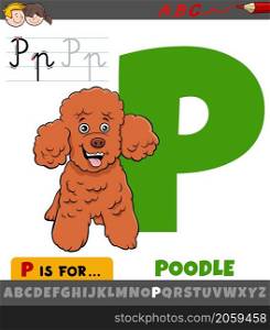 Educational cartoon illustration of letter P from alphabet with poodle purebred dog animal character