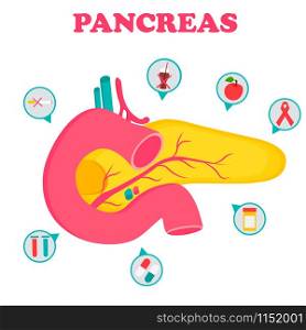Educational medical poster with pancreas organ and icons. Educational medical poster with pancreas organ