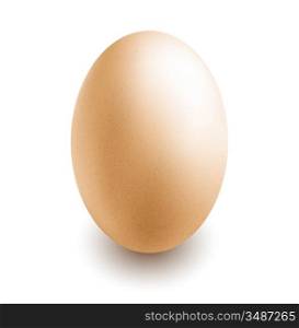 egg on white background