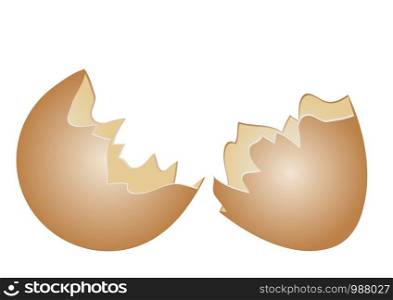 egg shell isolated on a white background