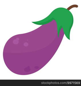 Eggplant flat, illustration, vector on white background